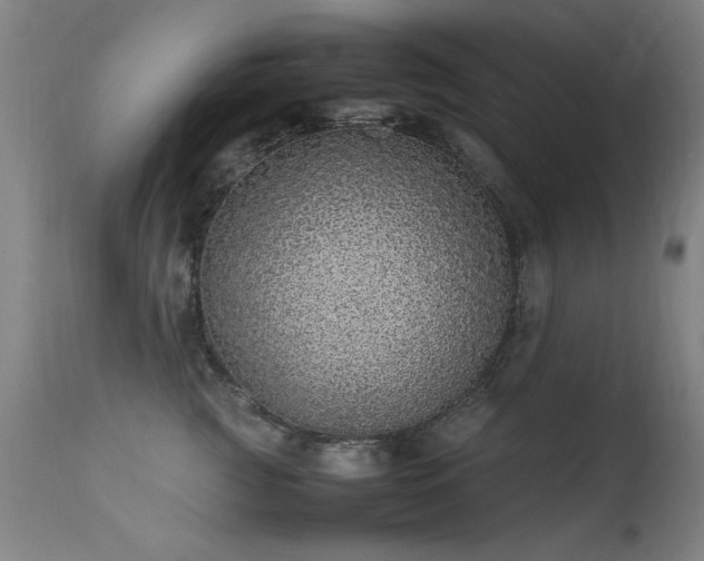 X0000113330761200909211220