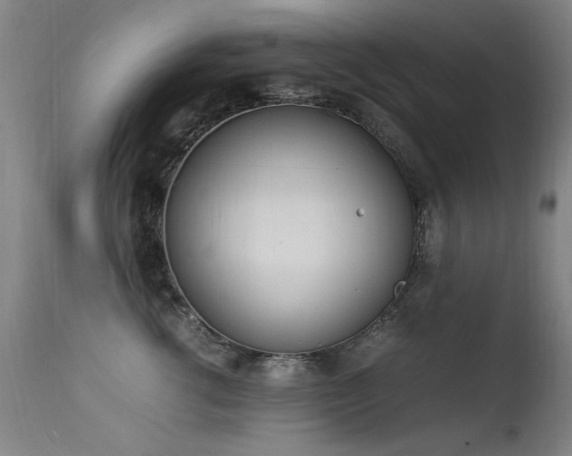 X0000113330762200909211220