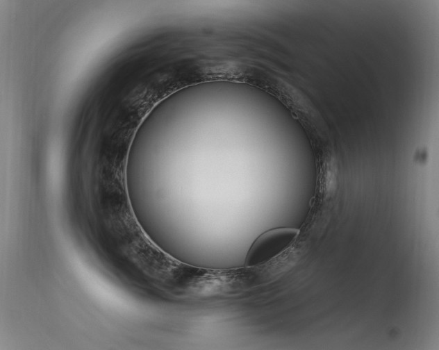 X0000113330764200909211220