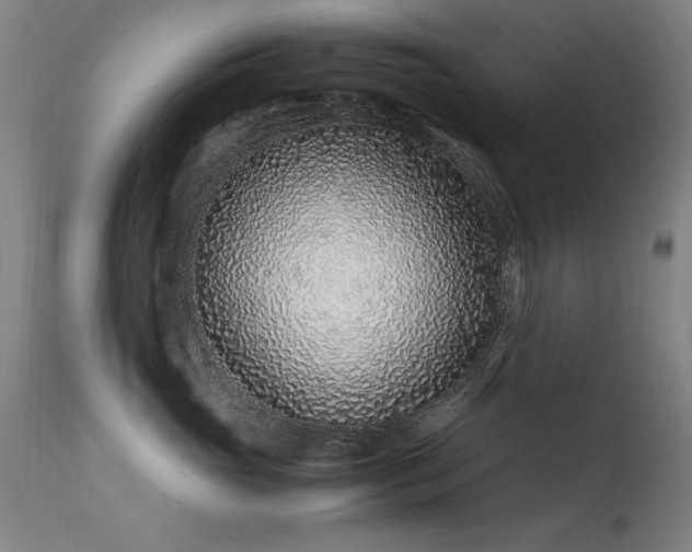 X0000113330765200909211220