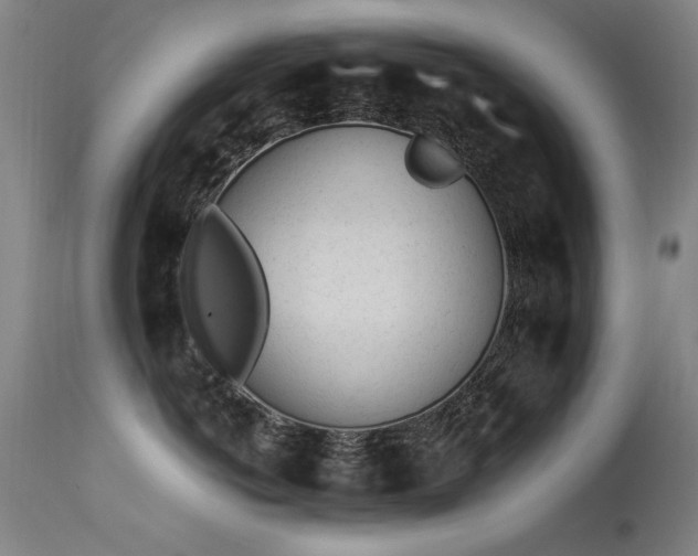 X0000113330766200909211220