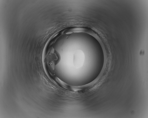 X0000113330768200909211220
