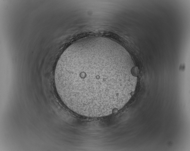 X0000113330769200909211219