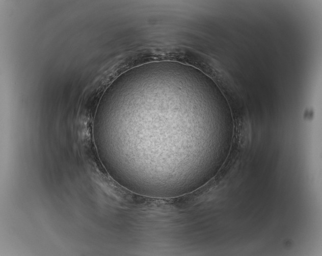 X0000113330770200909211219