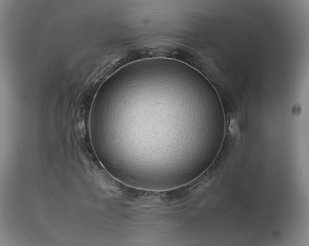X0000113330771200909211219