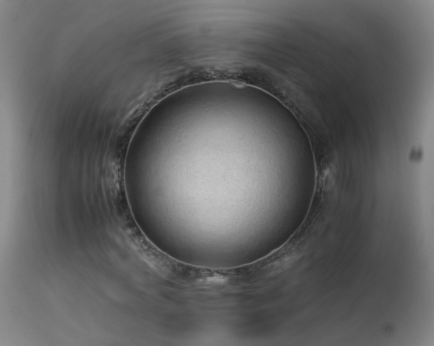 X0000113330772200909211219
