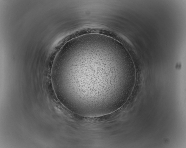 X0000113330775200909211219