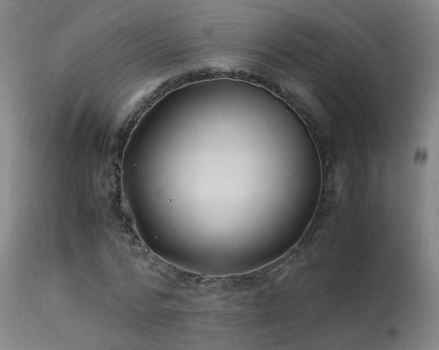 X0000113330776200909211219