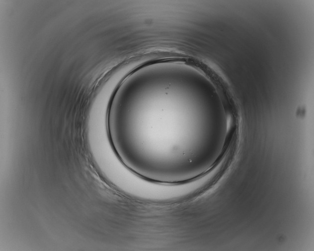 X0000113330777200909211219