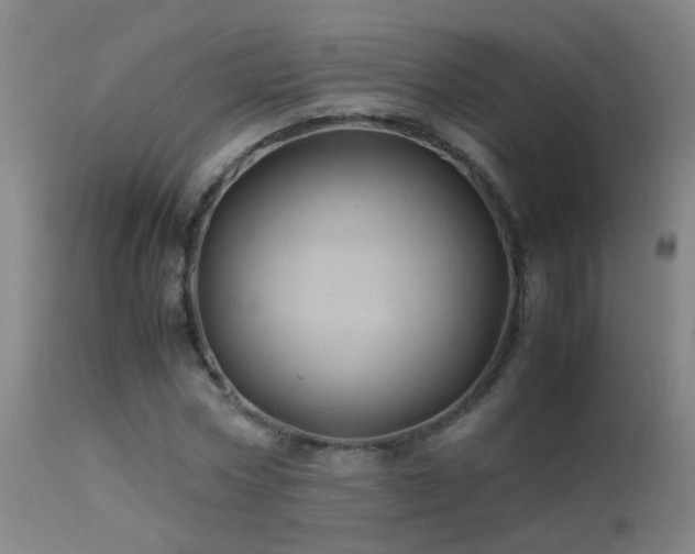X0000113330778200909211219