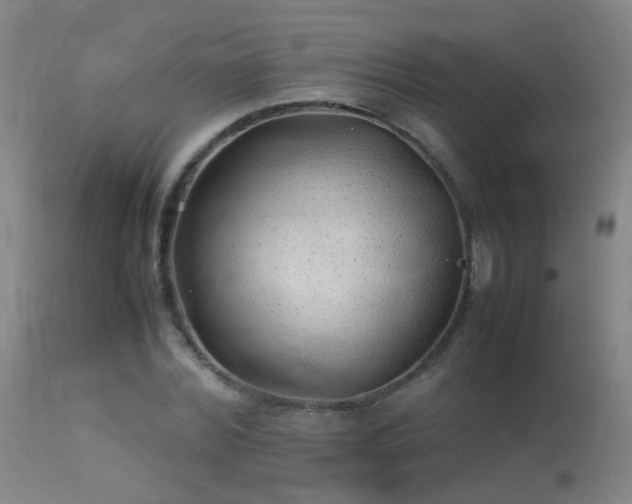 X0000113330780200909211219