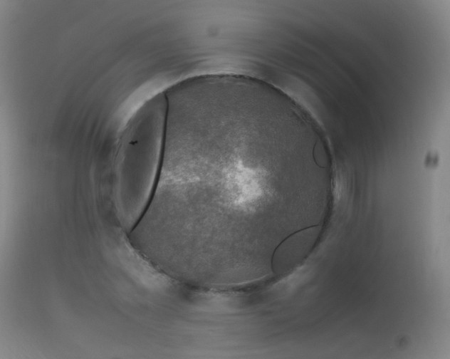 X0000113330781200909211219