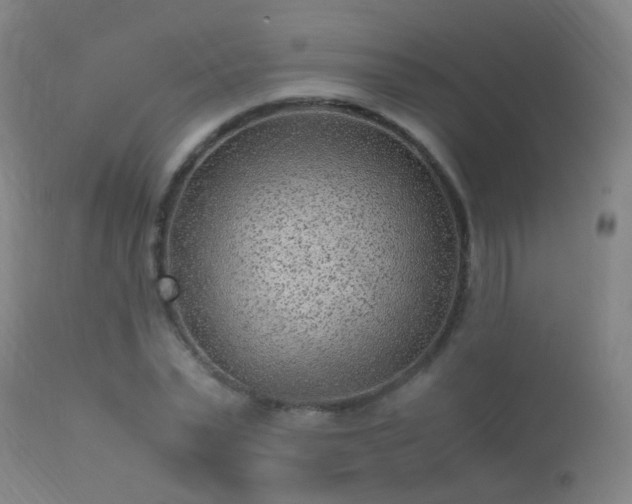 X0000113330783200909211219