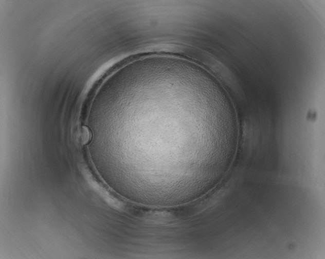 X0000113330784200909211219