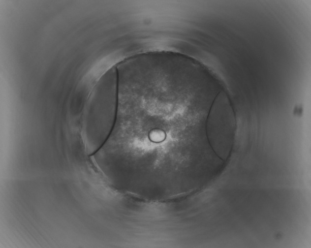 X0000113330785200909211219