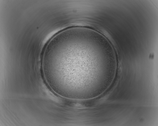 X0000113330787200909211219