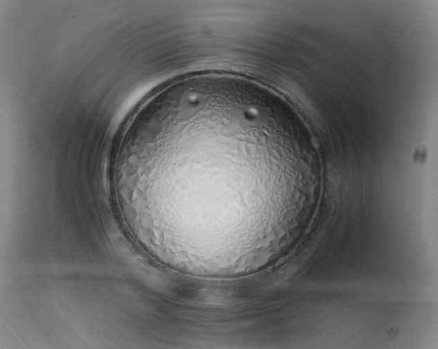 X0000113330788200909211219