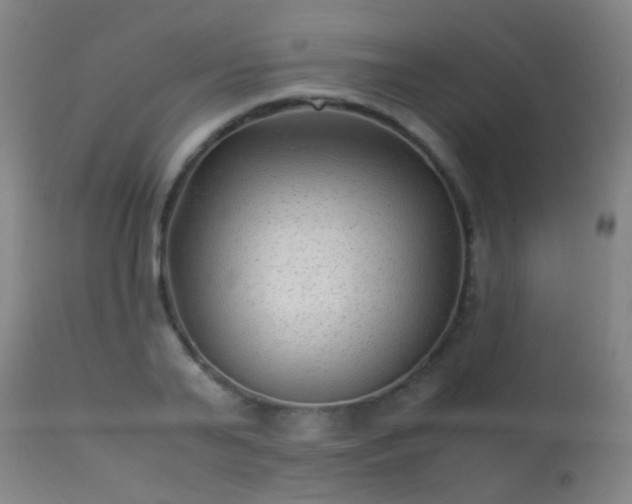 X0000113330791200909211219