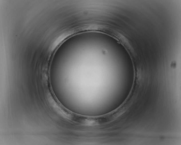 X0000113330794200909211219