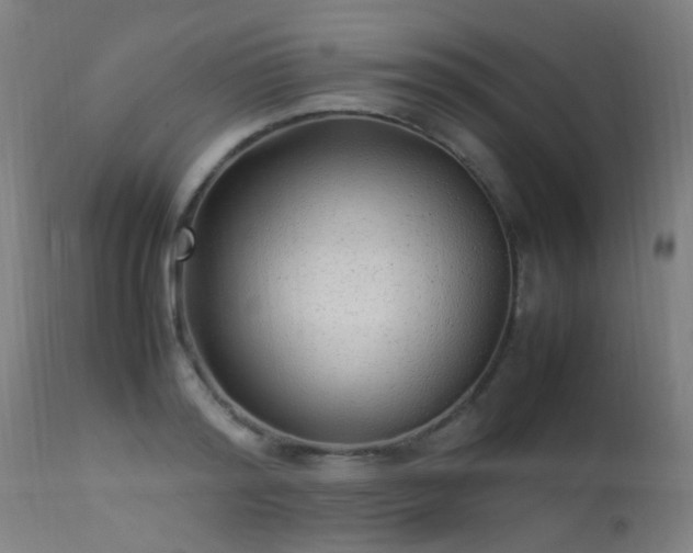 X0000113330796200909211219