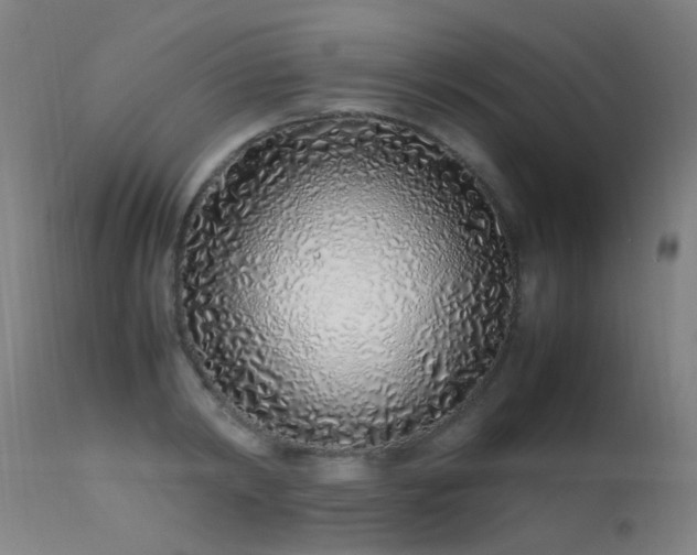 X0000113330798200909211219