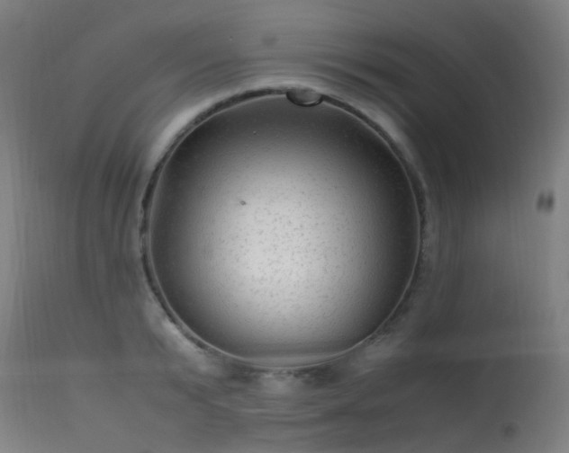 X0000113330799200909211219