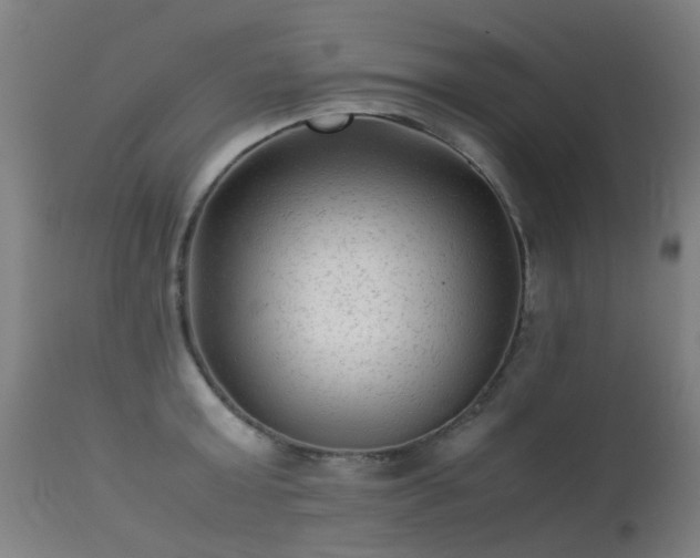 X0000113330803200909211219