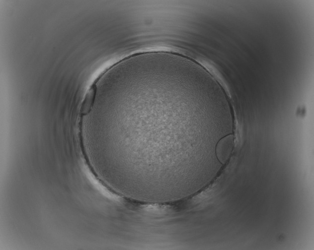 X0000113330805200909211219