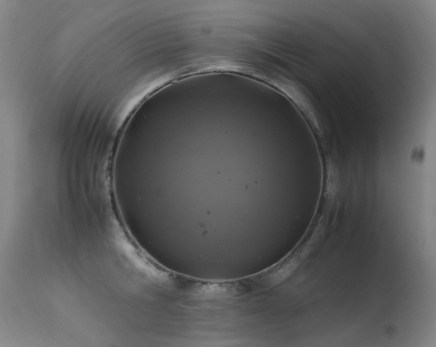 X0000113330806200909211219