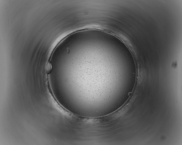 X0000113330808200909211219