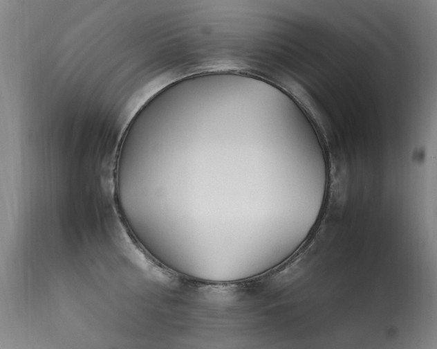 X0000113330810200909211219