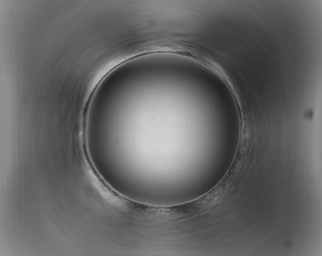 X0000113330811200909211218