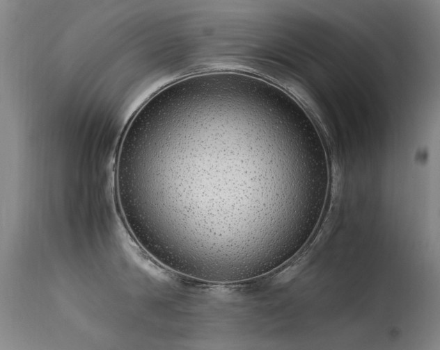 X0000113330814200909211218
