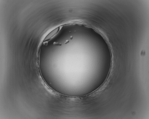 X0000113330816200909211218