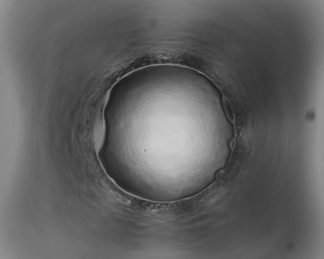X0000113330817200909211218