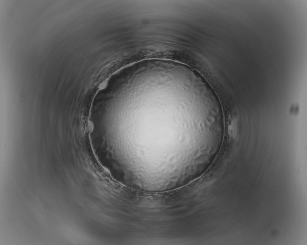X0000113330819200909211218