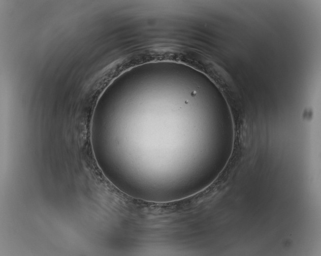 X0000113330821200909211218