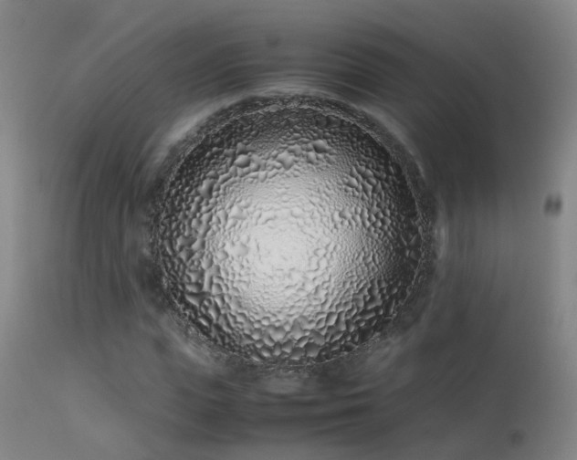 X0000113330823200909211218