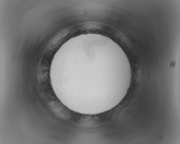 X0000113330824200909211218