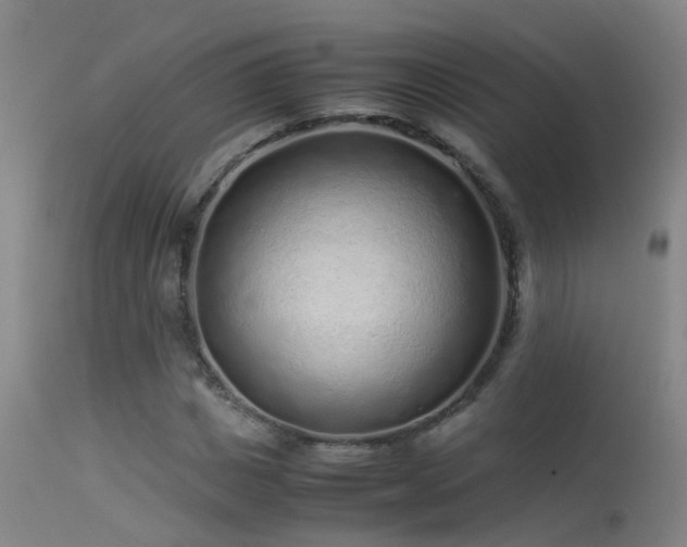X0000113330825200909211218