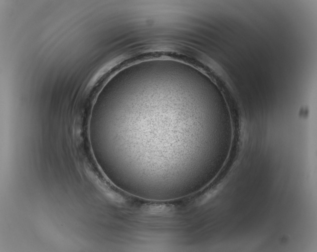 X0000113330826200909211218