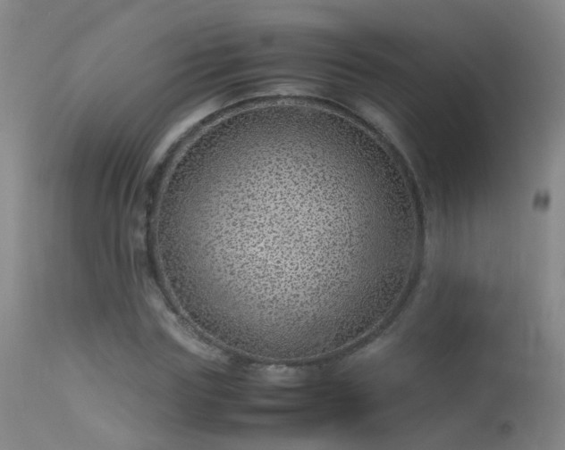 X0000113330827200909211218