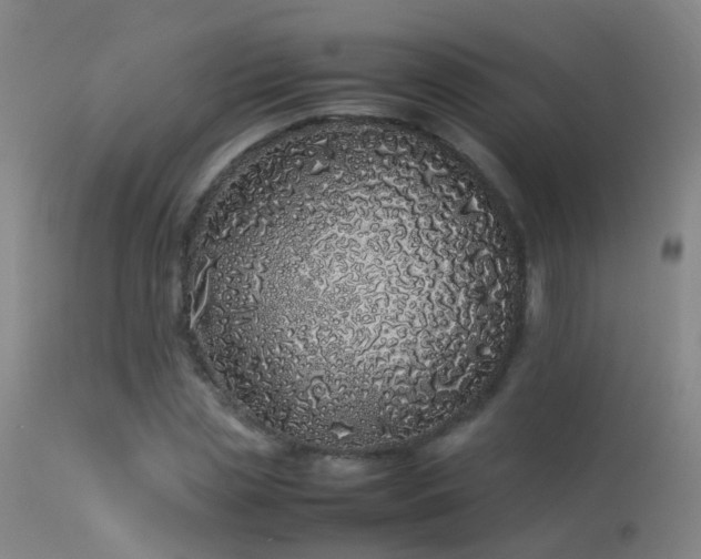 X0000113330829200909211218