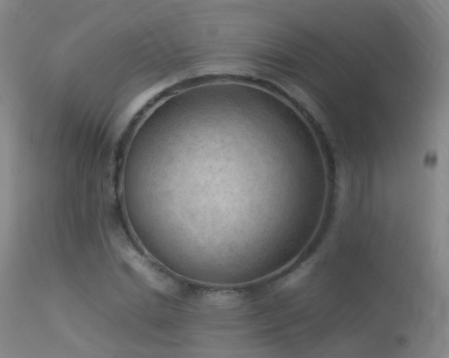 X0000113330830200909211218