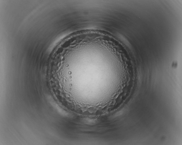 X0000113330831200909211218
