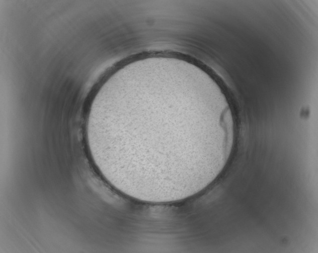 X0000113330832200909211218