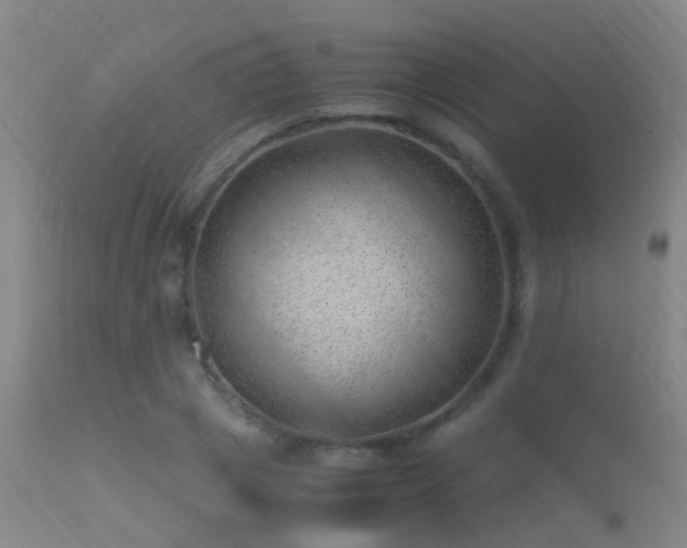 X0000113330833200909211218