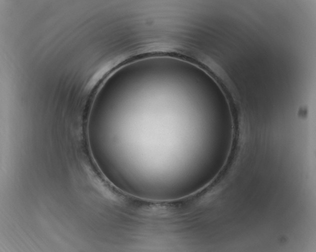 X0000113330834200909211218