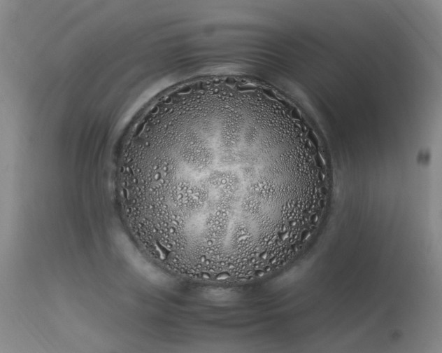 X0000113330835200909211218
