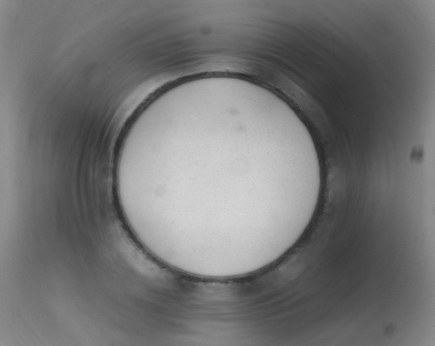 X0000113330836200909211218